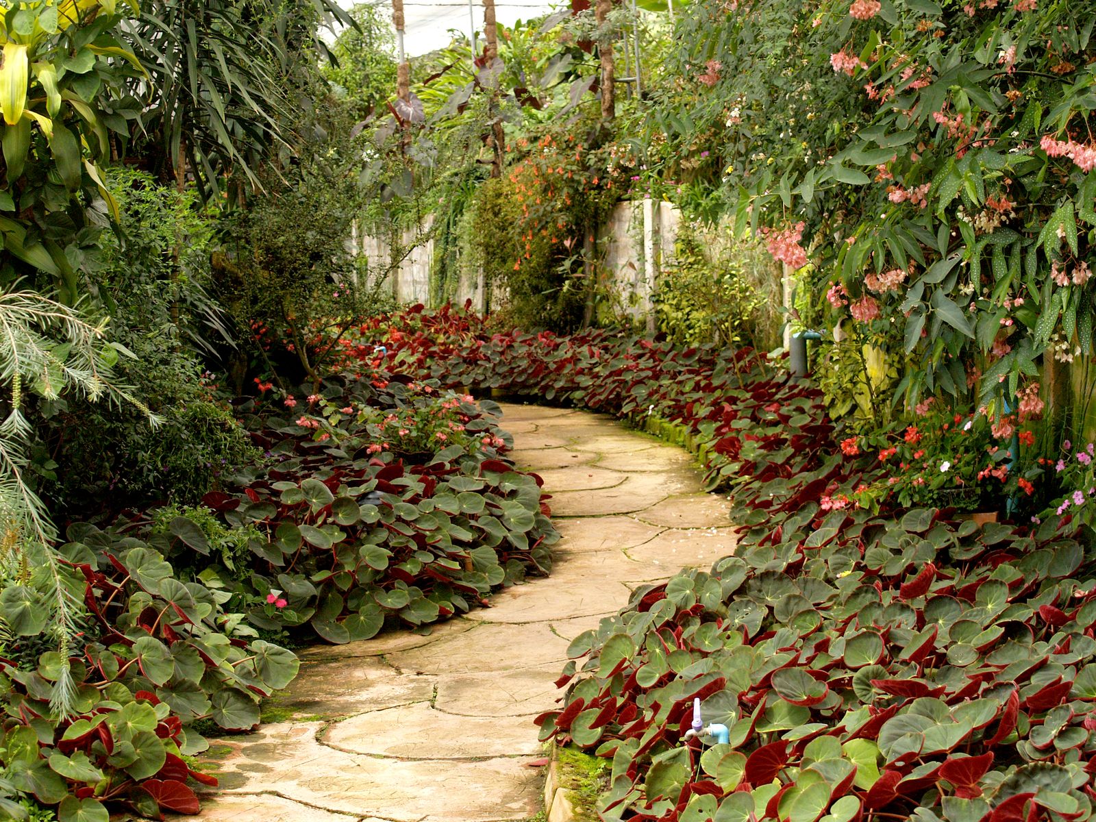 Garden Design