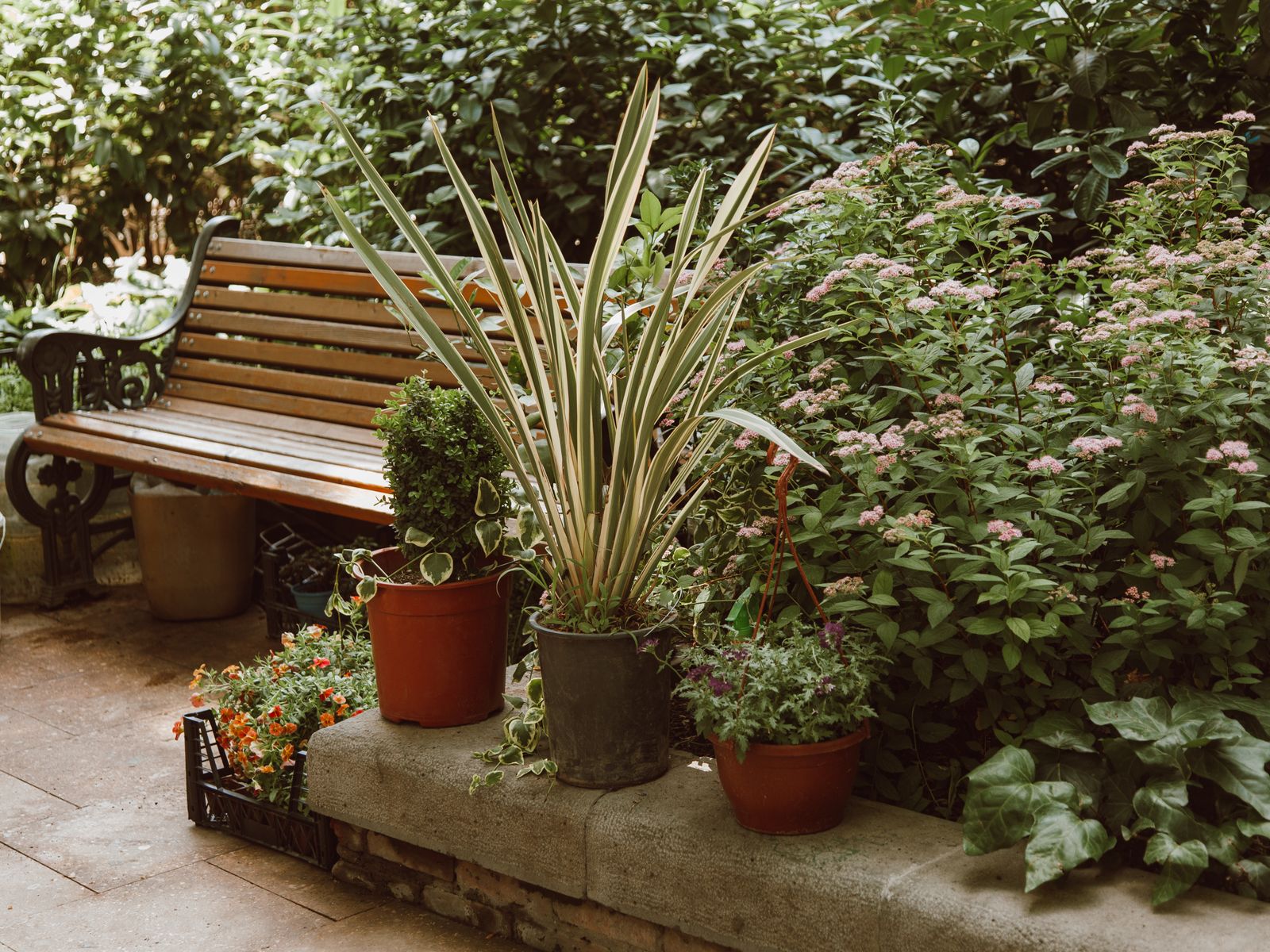 Large Space Landscaping