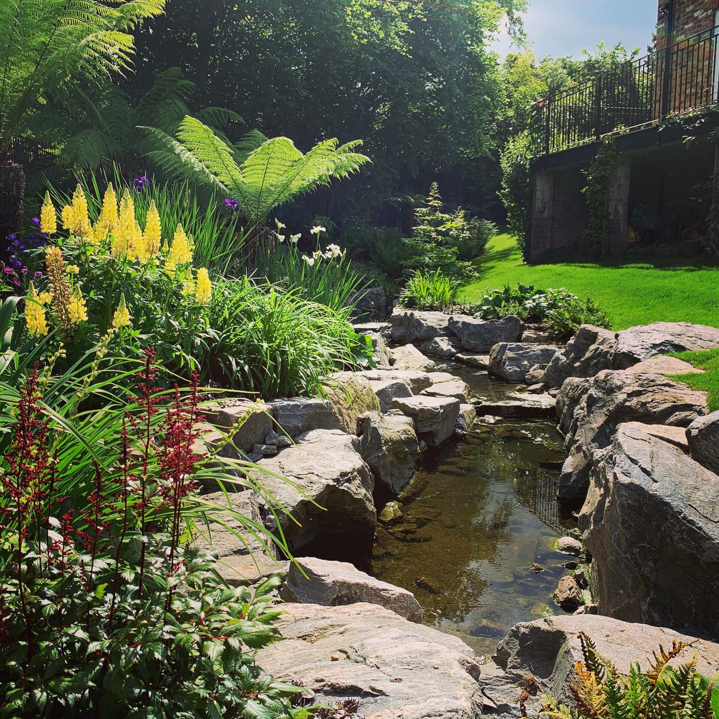 A naturalistic rock pond and stream threading between boulders, planted with lupins and irises so it reads as though it has always been part of the garden.